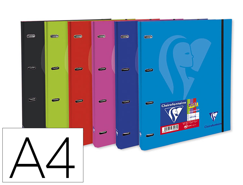 PASTA CLAIREFONTAINE MIMESYS 4 ANEIS 20 MM CARTAO FORRADO DIN A4 COM RECARGA QUADRICULA 5 MM E ELASTICO CORES SORTIDAS