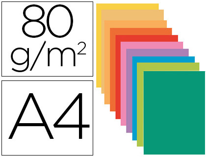 CLASSIFICADOR EXACOMPTA EM CARTOLINA DIN A4 CORES SORTIDAS 80 GR