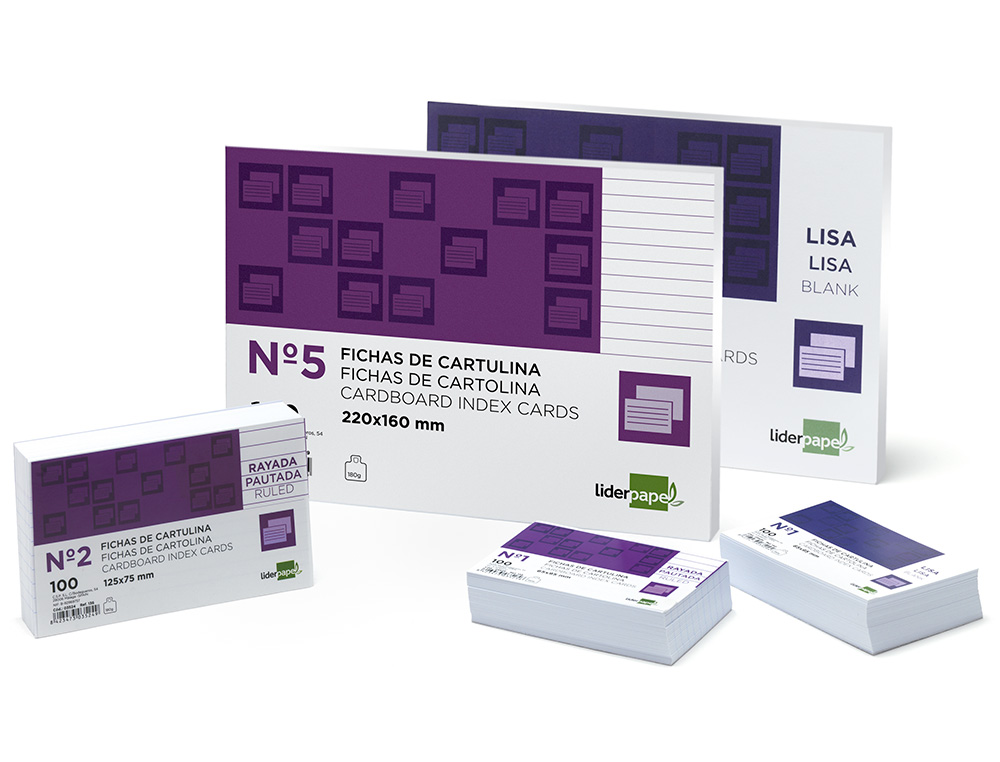 FICHAS EM CARTOLINA, EMB. COM 100, 160X220 MM, PAUTADO