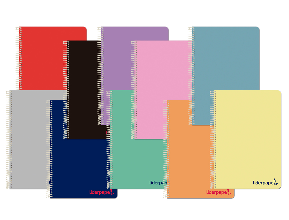 CADERNO ESPIRAL LIDERPAPEL WONDER DIN A5 CAPA PLASTICO 80 F 90 GR PAUTADO COM MARGEM CORES SORTIDAS