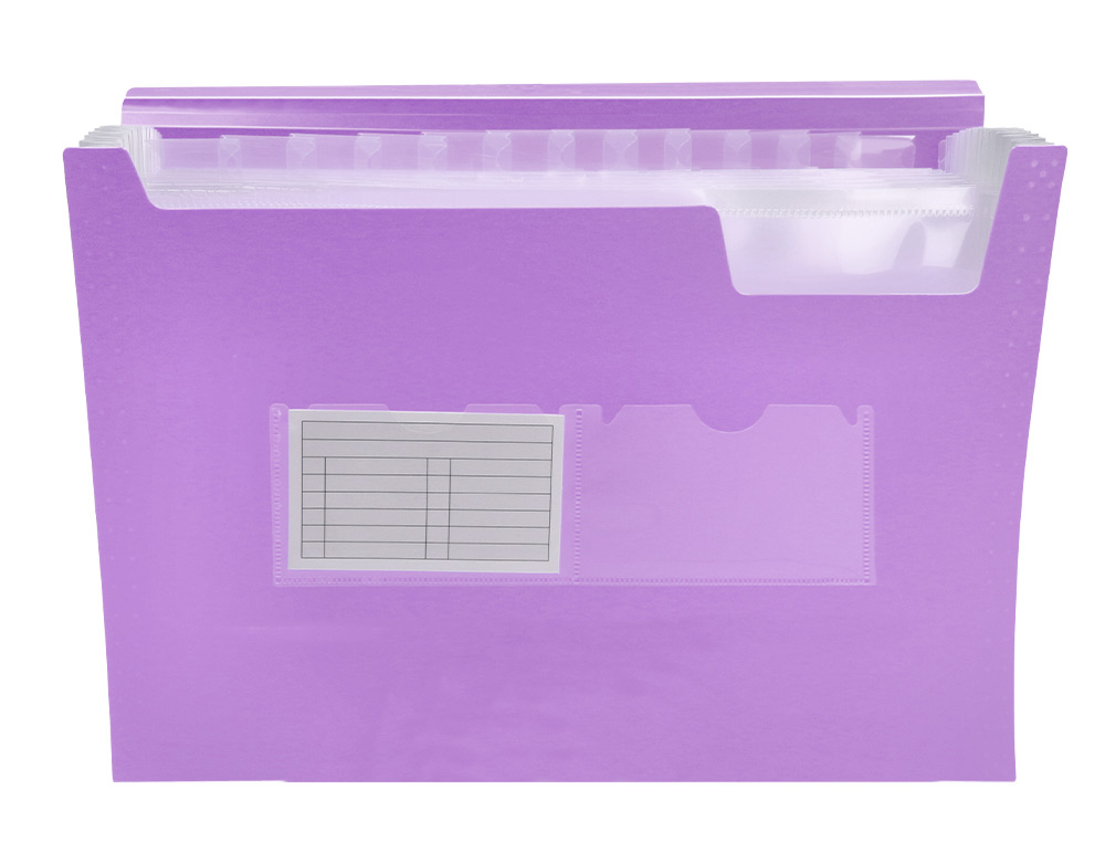 PASTA CLASSIFICADORA COM FOLE LIDERPAPEL POLIPROPILENO DIN A4 LAVANDA OPACO 13 DEPARTAMENTOS
