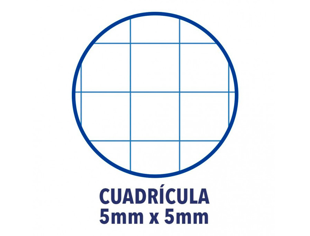 RECARGA COR 1 OXFORD DIN A4+ 80 FOLHAS 90 GR QUADRICULA 5 MM 4 FUROS COR BRANCO