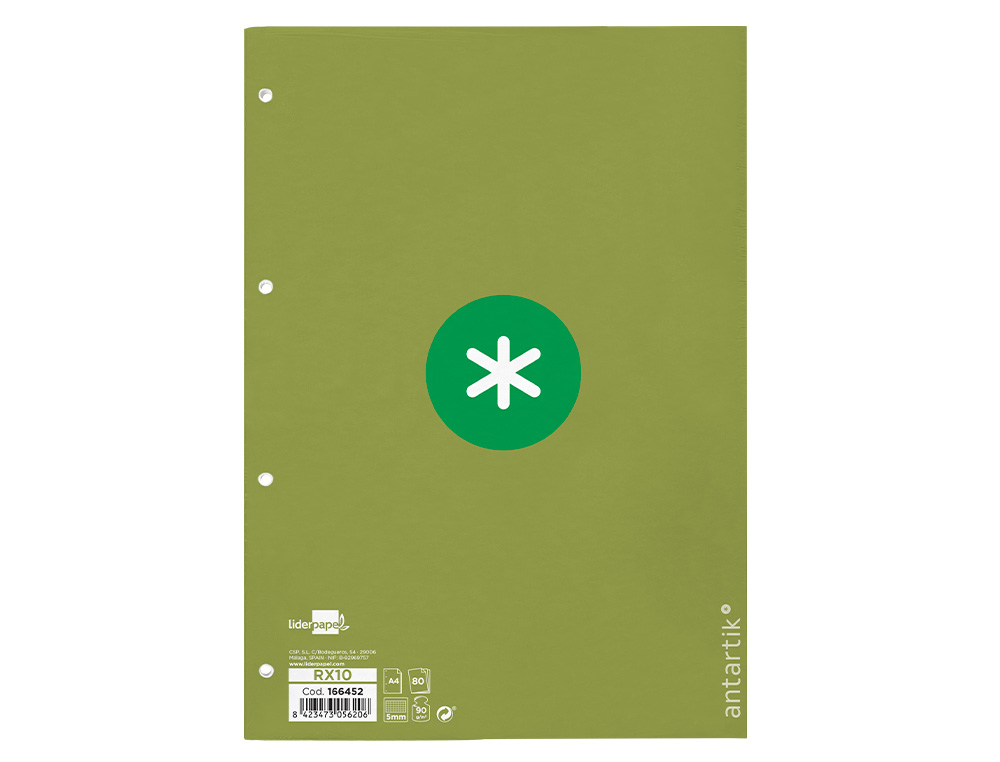 RECARGA A4 ANTARTIK 80 FOLHAS 90G/M2 QUADRICULA 5MM 4 FUROS 1 BANDA COM MOLDURA COR MENTA