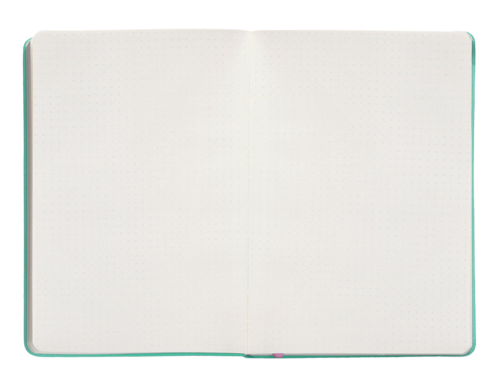 CADERNO COM ELASTICO ANTARTIK NOTES CAPA DURA A5 PONTILHADO ROSA E TURQUESA 100 FOLHAS 80 GR FSC