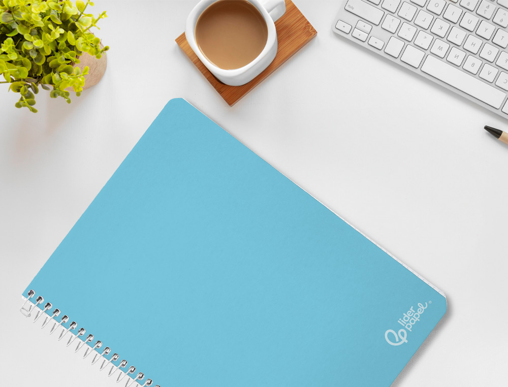 CADERNO ESPIRAL LIDERPAPEL WITTY DIN A4 CAPA DURA 80F 90GR LISO SEM MARGEM CORES SORTIDAS