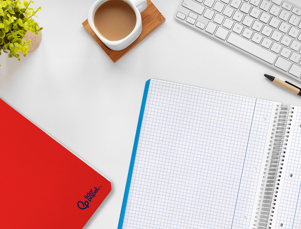 CADERNO ESPIRAL LIDERPAPEL SMART MICRO DIN A4 CAPA SUAVE 80 F 75GR QUADRICULA 5MM DUPLA MARGEM 4 FUROS CORES SORTIDAS