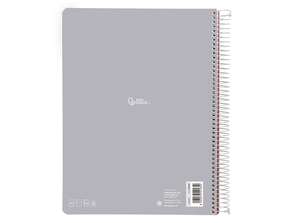 CADERNO ESPIRAL LIDERPAPEL WITTY MICRO DIN A4 CAPA DURA 120F 90GR PAUTADO 5 BANDAS 4 FUROS CORES SORTIDAS