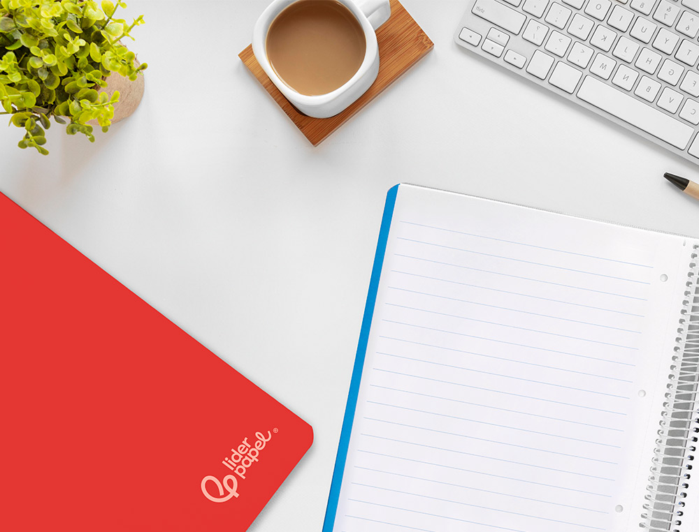 CADERNO ESPIRAL LIDERPAPEL WITTY MICRO DIN A4 CAPA DURA 120F 90GR PAUTADO 5 BANDAS 4 FUROS CORES SORTIDAS