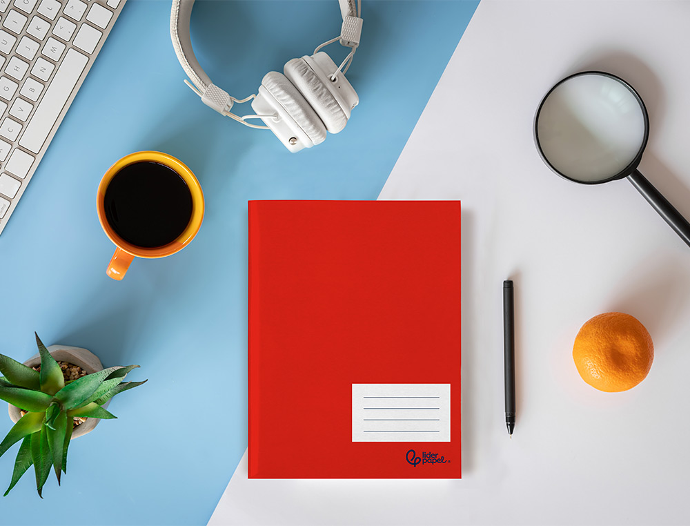 CADERNO AGRAFADO LIDERPAPEL SMART DIN A5+ 48 F 75GR QUADRICULA 5MM COM MARGEM CORES SORTIDAS