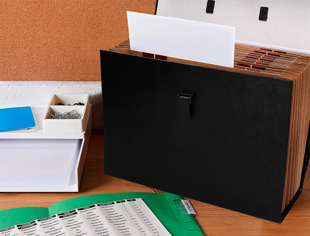 MALA CLASSIFICADORA LIDERPAPEL COM FOLE 19 DEPARTAMENTOS
