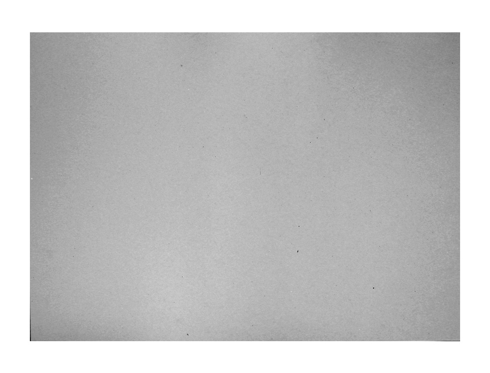 CARTOLINA GUARRO 50X65 CM 185 GR CINZA CLARO