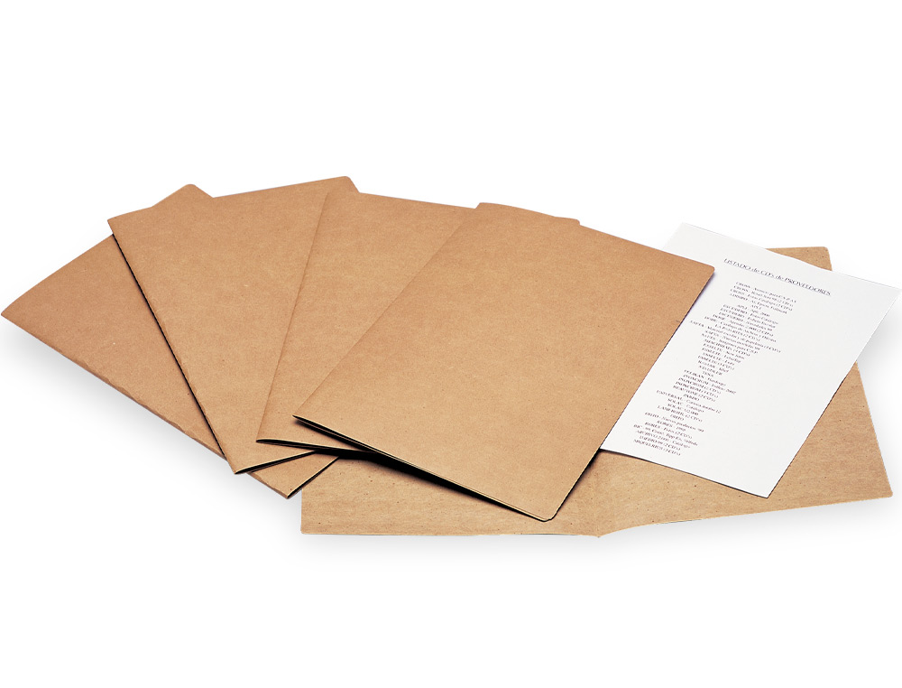 CLASSIFICADOR LIDERPAPEL KRAFT, FORMATO A4 315 X 235 MM