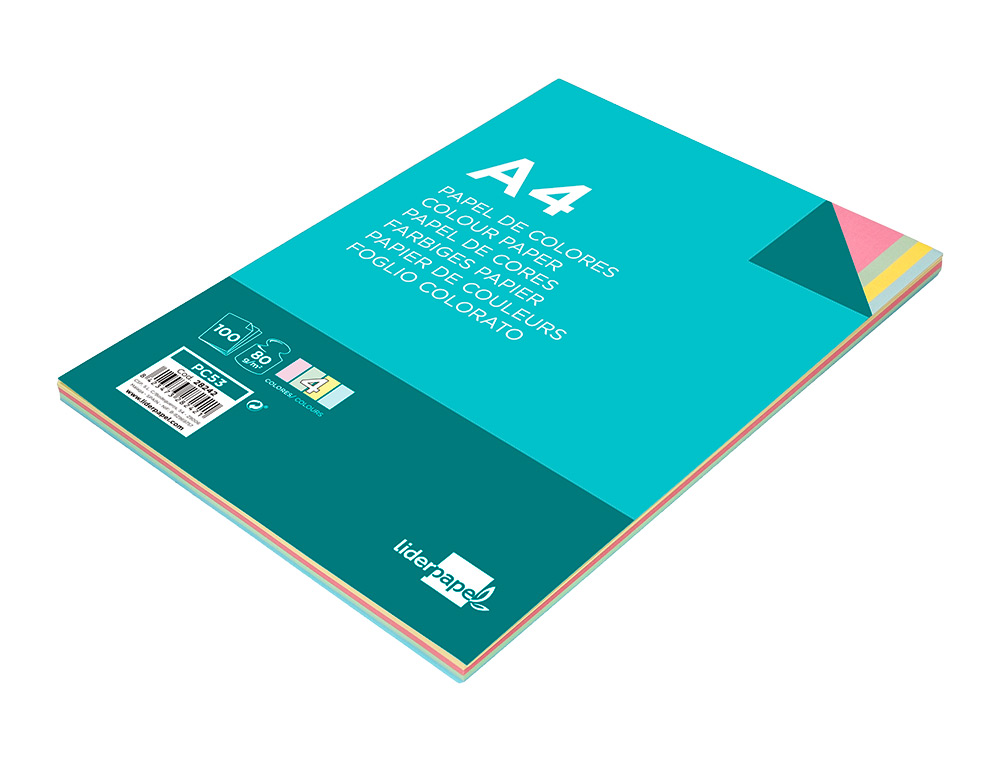 PAPEL DE COR LIDERPAPEL DIN A4 80 GR EMBALAGEM DE 100 FOLHAS 4 CORES X 25 FOLHAS