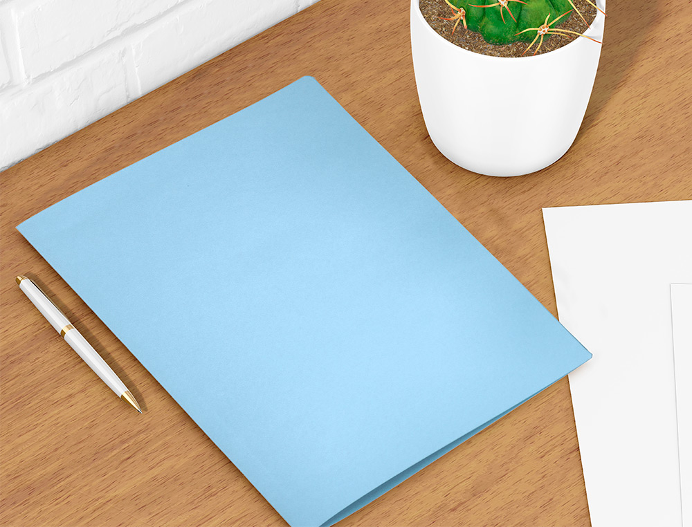 CLASSIFICADOR LIDERPAPEL EM CARTOLINA DE 180 GRS, FOLIO, CELESTE INTENSO