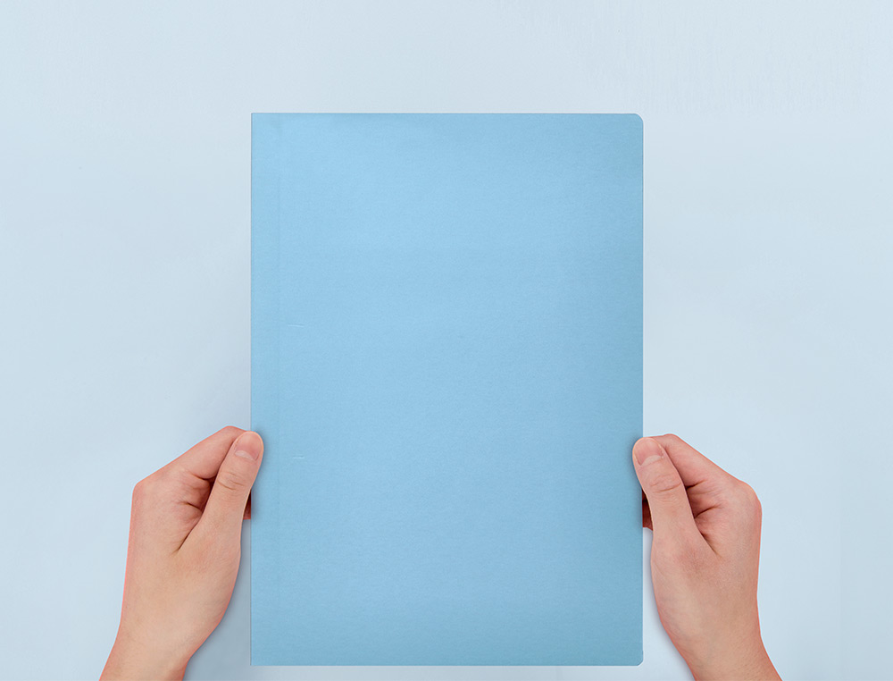 CLASSIFICADOR LIDERPAPEL EM CARTOLINA DE 180 GRS, FOLIO, CELESTE INTENSO