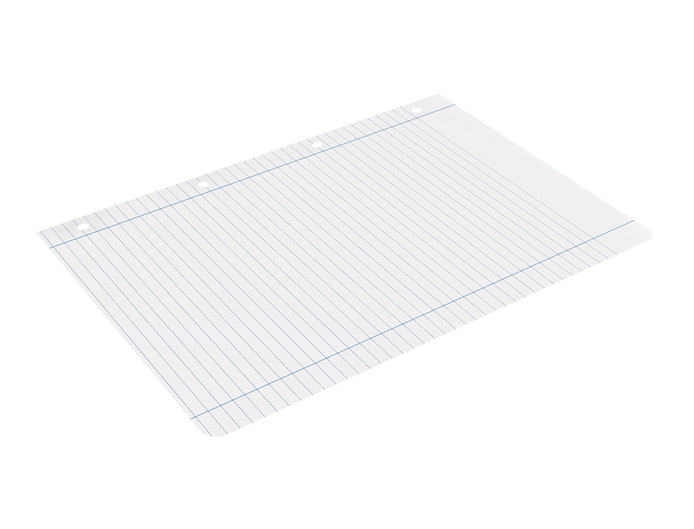 RECARGA LIDERPAPEL DIN A4 100 F 100 GR PAUTADO