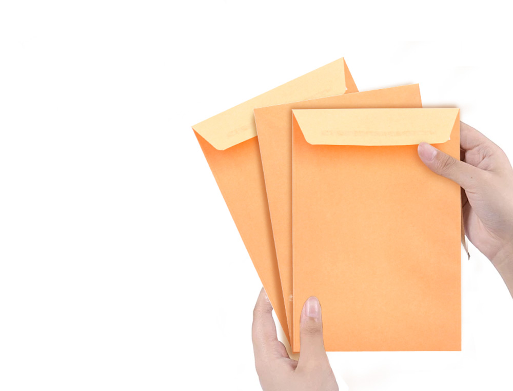 ENVELOPE LIDERPAPEL N.0 SALARIOS CANA 100X150MM SEM JANELA PACK DE 1000 UNIDADES