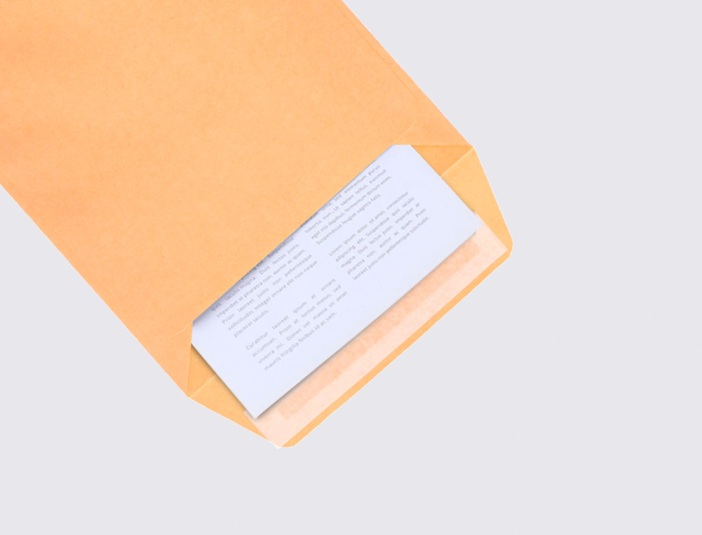 ENVELOPE LIDERPAPEL N.0 SALARIOS CANA 100X150MM SEM JANELA PACK DE 1000 UNIDADES