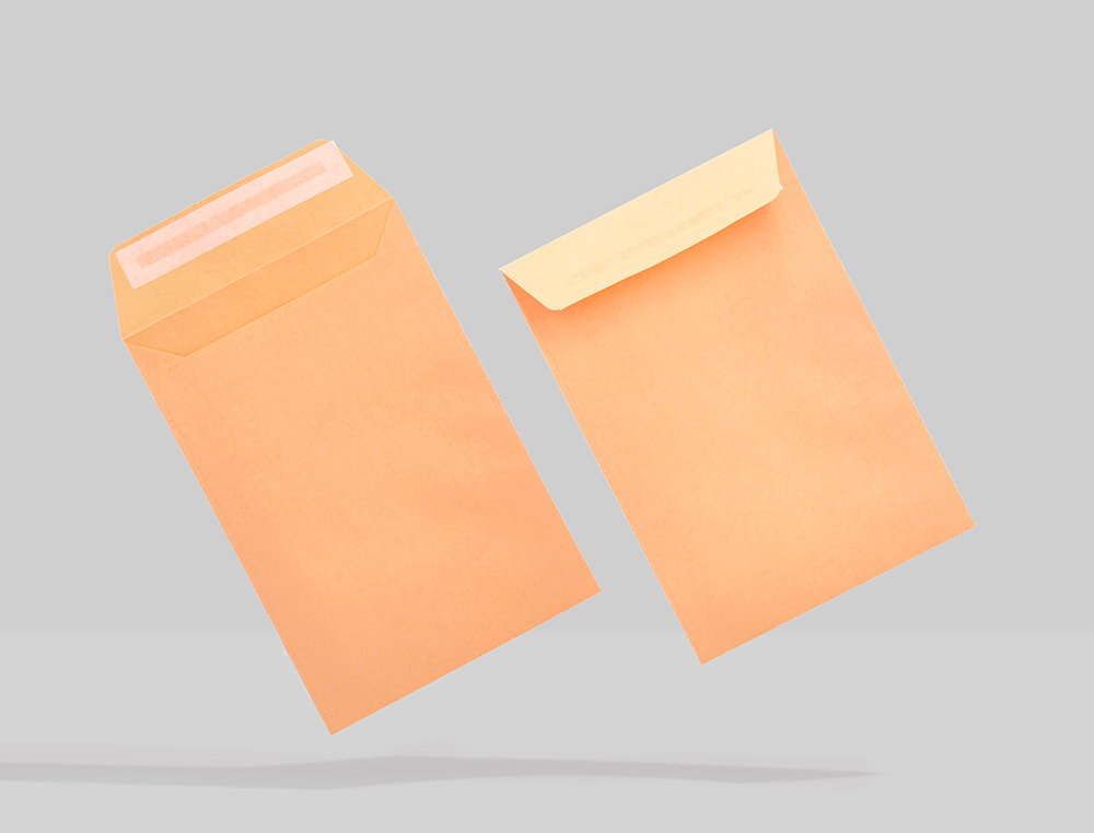 ENVELOPE LIDERPAPEL N.0 SALARIOS CANA 100X150MM SEM JANELA PACK DE 1000 UNIDADES