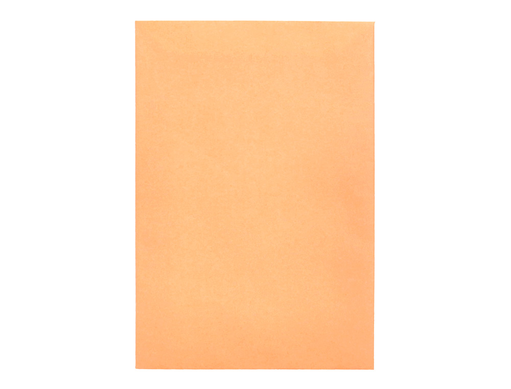 ENVELOPE LIDERPAPEL N.0 SALARIOS CANA 100X150MM SEM JANELA PACK DE 1000 UNIDADES