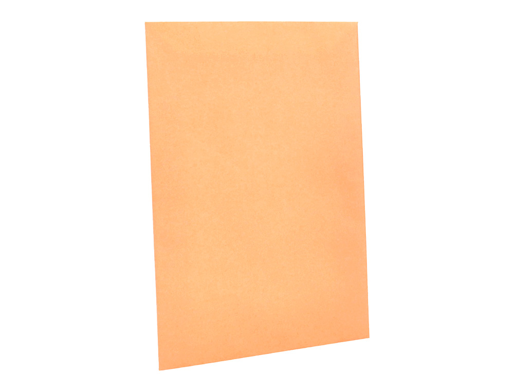 ENVELOPE LIDERPAPEL N.0 SALARIOS CANA 100X150MM SEM JANELA PACK DE 1000 UNIDADES