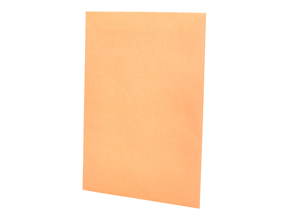 ENVELOPE LIDERPAPEL N.0 SALARIOS CANA 100X150MM SEM JANELA PACK DE 1000 UNIDADES