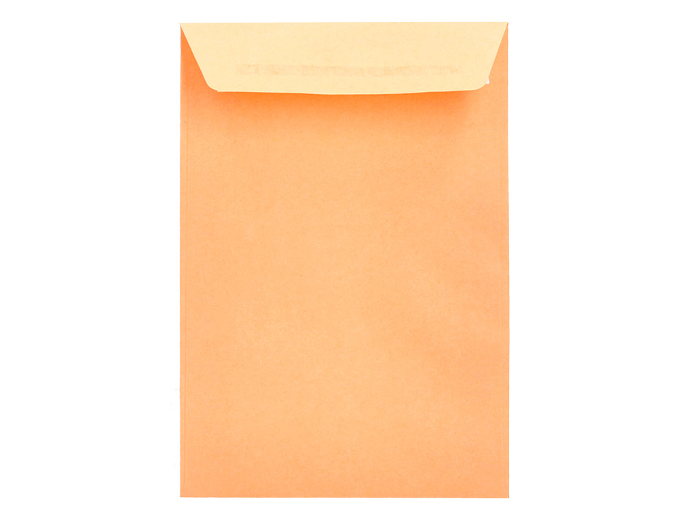 ENVELOPE LIDERPAPEL N.0 SALARIOS CANA 100X150MM SEM JANELA PACK DE 1000 UNIDADES