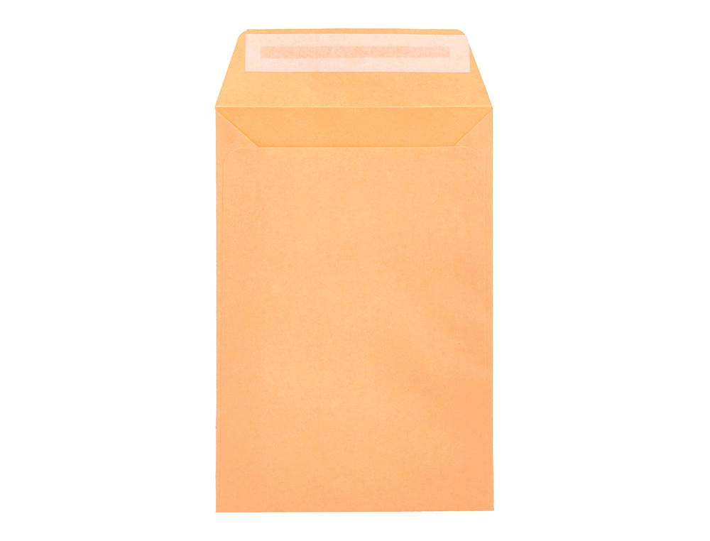 ENVELOPE LIDERPAPEL N.0 SALARIOS CANA 100X150MM SEM JANELA PACK DE 1000 UNIDADES