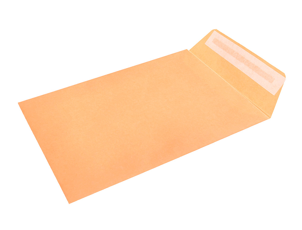 ENVELOPE LIDERPAPEL N.0 SALARIOS CANA 100X150MM SEM JANELA PACK DE 1000 UNIDADES