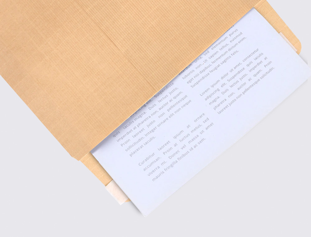 ENVELOPE LIDERPAPEL N.5 BOLSA C5 CASTANHO 162X229 MM TIRA DE SILICONE PACK DE 250 UNIDADES