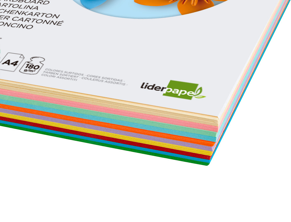 CARTOLINA LIDERPAPEL DIN A4 180 GR 10 CORES SORTIDAS PACK DE 100 UNIDADES