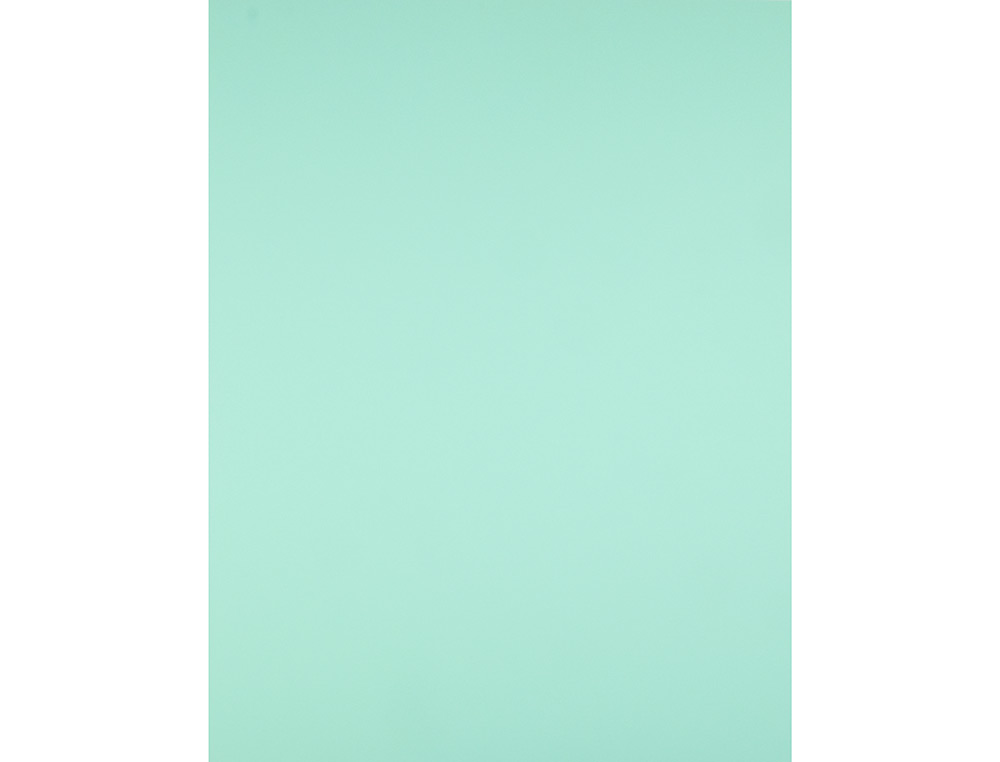 CARTOLINA LIDERPAPEL 50X65 CM 240 GR VERDE