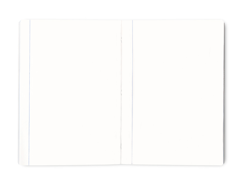 CADERNO AGRAFADO LIDERPAPEL SCRIPTUS DIN A4 48 F LISA SEM MARGEM CORES SORTIDAS PAPEL 90 GR