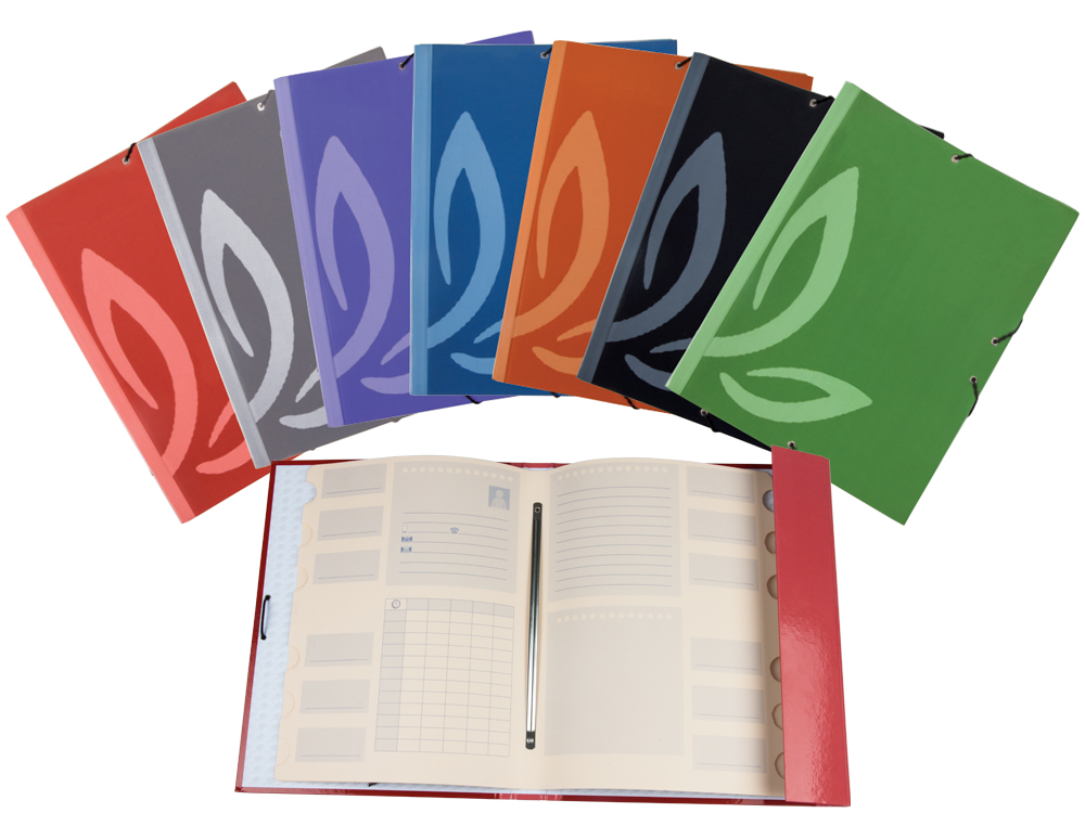 PASTA LIDERPAPEL ELASTICOS CARTAO FORRADO CLASIFICADORA FOLIO 7 CORES SORTIDAS