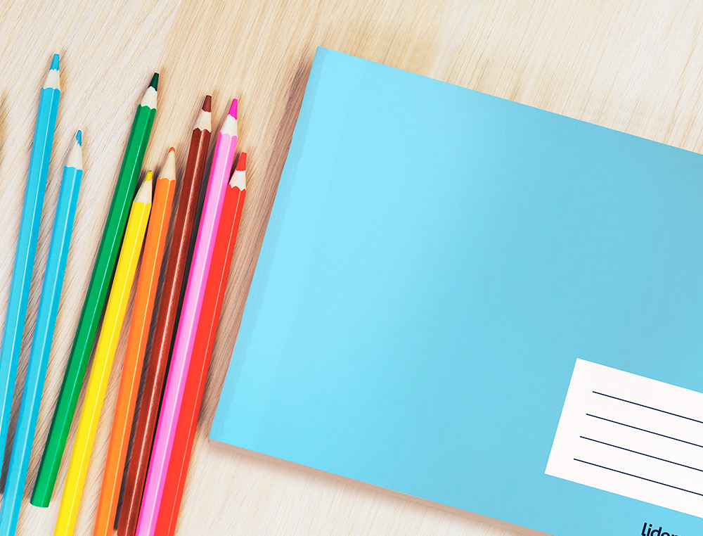 CADERNO AGRAFADO LIDERPAPEL DIN A5 32 F QUADRICULA 3 MM COM MARGEM CORES SORTIDOIS
