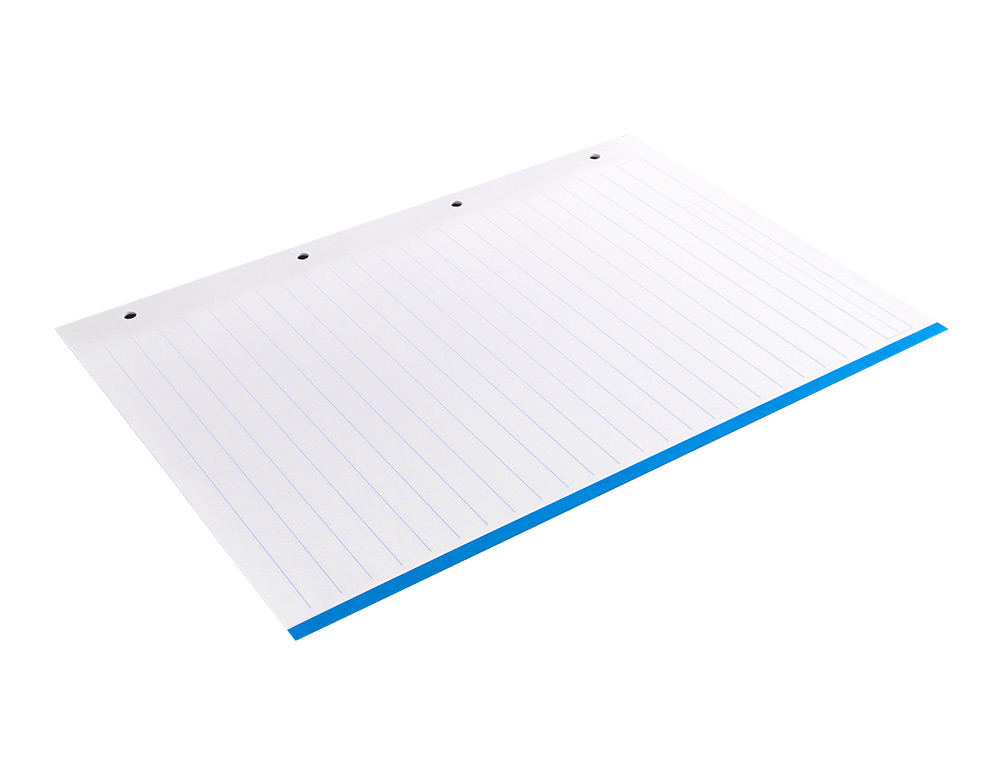 RECARGA LIDERPAPEL DIN A4 100 F 100 GR PAUTADO HORIZONTAL SEM MARGEN 4 FUROS BANDAS DE 5 CORES