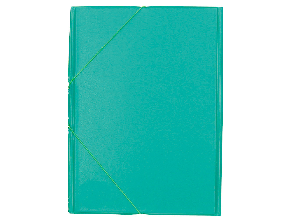 PASTA DE ELASTICOS LIDERPAPEL PLASTICO FOLIO ABA COR VERDE PISTACHO