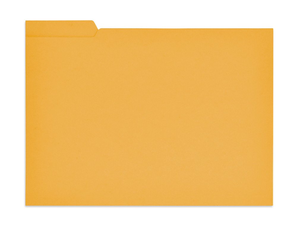 CLASSIFICADOR GIO EM CARTOLINA FOLIO PESTANA ESQUERDA 250 GR AMARELO