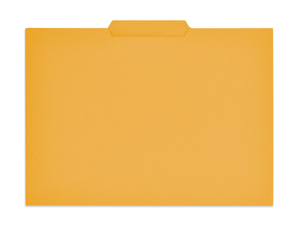 CLASSIFICADOR GIO EM CARTOLINA FOLIO PESTANA CENTRAL 250 GR AMARELO