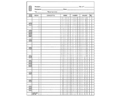 RECAMBIO MULTIFIN 3005 -CUENTAS CORRIENTES